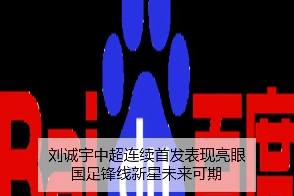 img_1784309762305_419_0_993.jpg