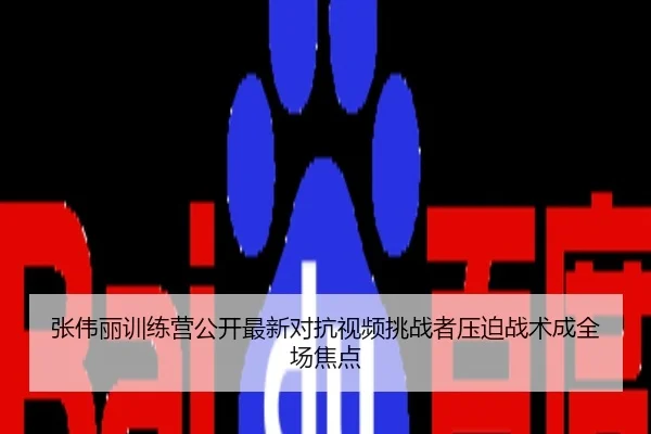 张伟丽训练营公开最新对抗视频挑战者压迫战术成全场焦点