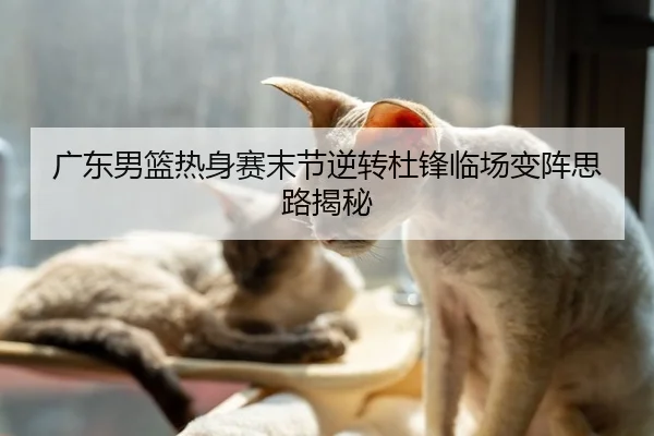 广东男篮热身赛末节逆转杜锋临场变阵思路揭秘